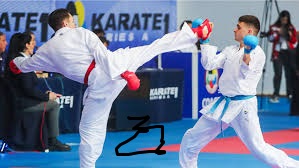 Karate in TV Shows